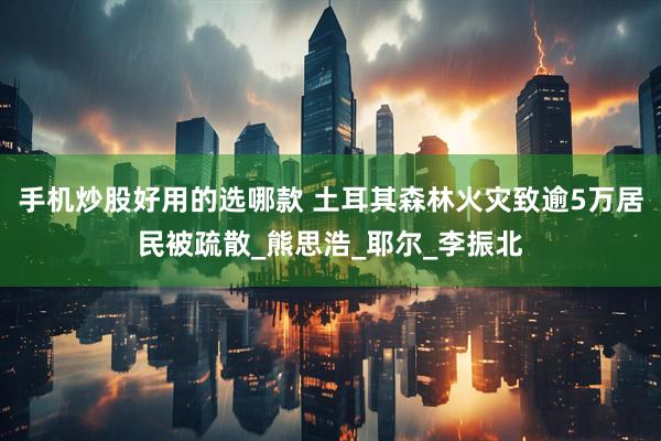 手机炒股好用的选哪款 土耳其森林火灾致逾5万居民被疏散_熊思浩_耶尔_李振北