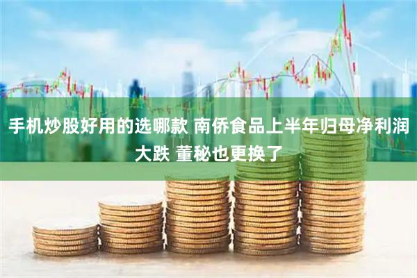 手机炒股好用的选哪款 南侨食品上半年归母净利润大跌 董秘也更换了