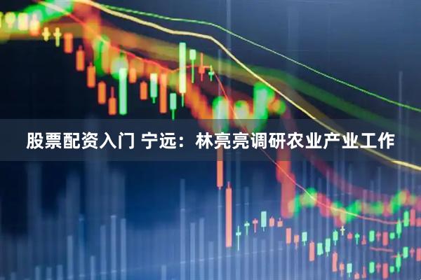 股票配资入门 宁远：林亮亮调研农业产业工作